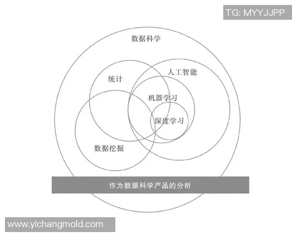 北京篮球队团队协作表现的数据分析与提升策略探讨